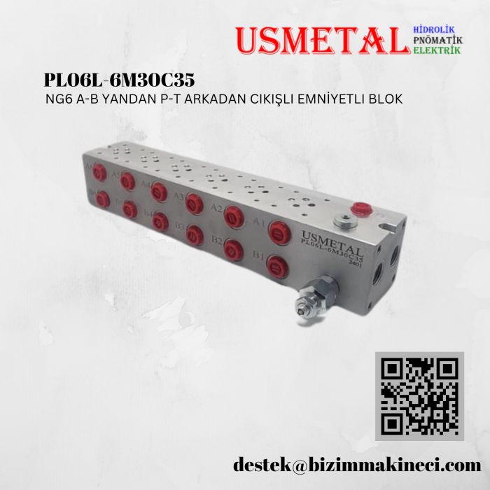 PL06L-6M30C35 YANAL PORTLU PARALEL EMNİYETLİ BLOK