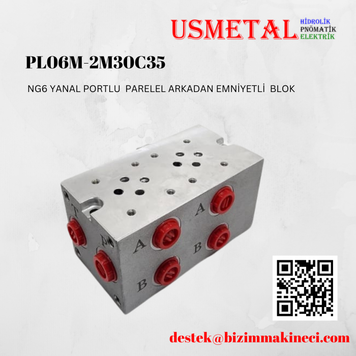 PL06M-2M30C35 YANAL PORTLU PARALEL ARKADAN EMNİYETLİ BLOK