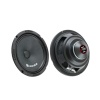 Midrange Reis Audio RS-M6NX 16 Cm 300 Watt 100 Rms