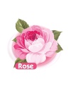 Islak Havlu Mendil 90 Yaprak Gül/rose 24 Lü Set 2160 Yaprak Plastik Kapaklı