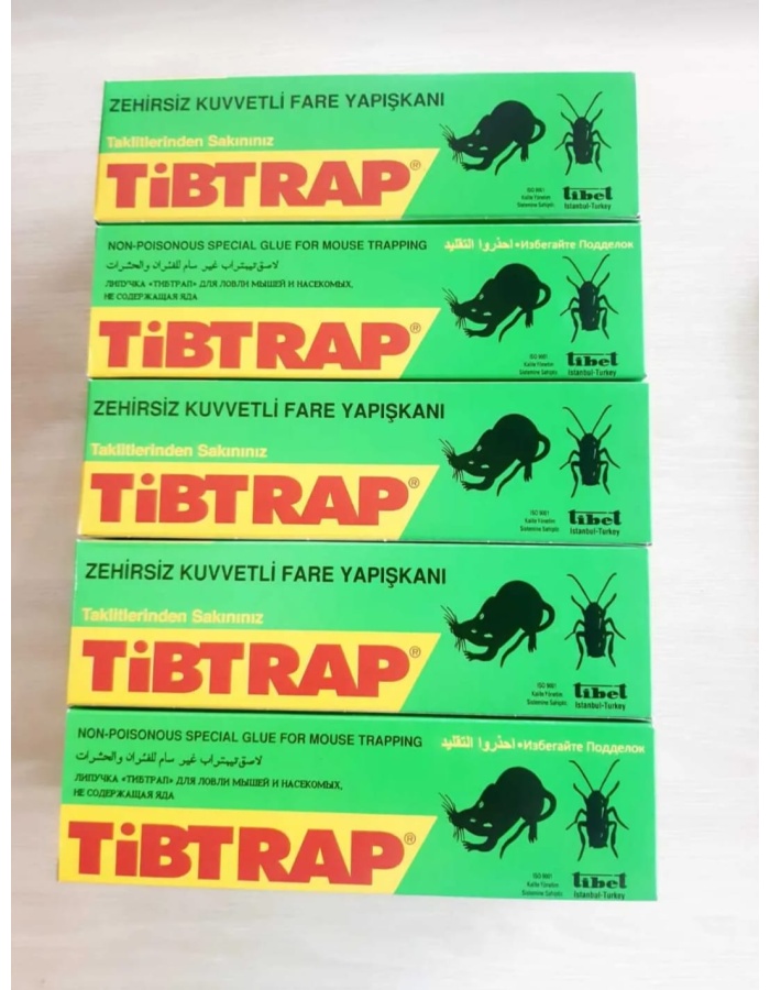 10lu Tibtrap zehirsiz kuvvetli fare yapışkanı 125ml