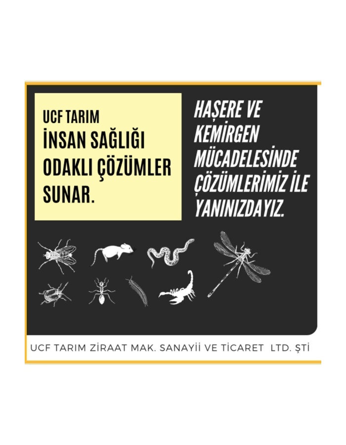 Tibtrap Zehirsiz Kuvvetli Fare Yapışkanı 24 Adet 1 Koli