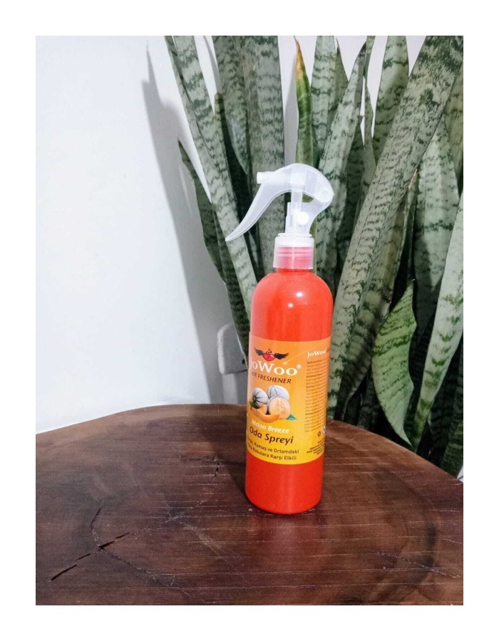 Air Freshener Oda Spreyi 350 Ml Melon