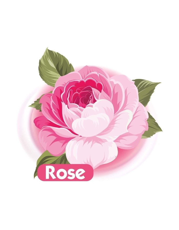 Islak Havlu Mendil 90 Yaprak Gül/rose 9 Lu Set 810 Yaprak Plastik Kapaklı