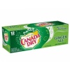 Canada Dry Ginger Ale Gazoz 12li