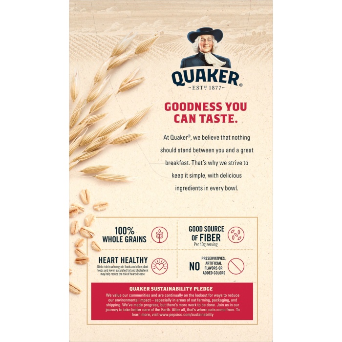 Quaker Instant Oatmeal Original 10 Paket 280 Gr.