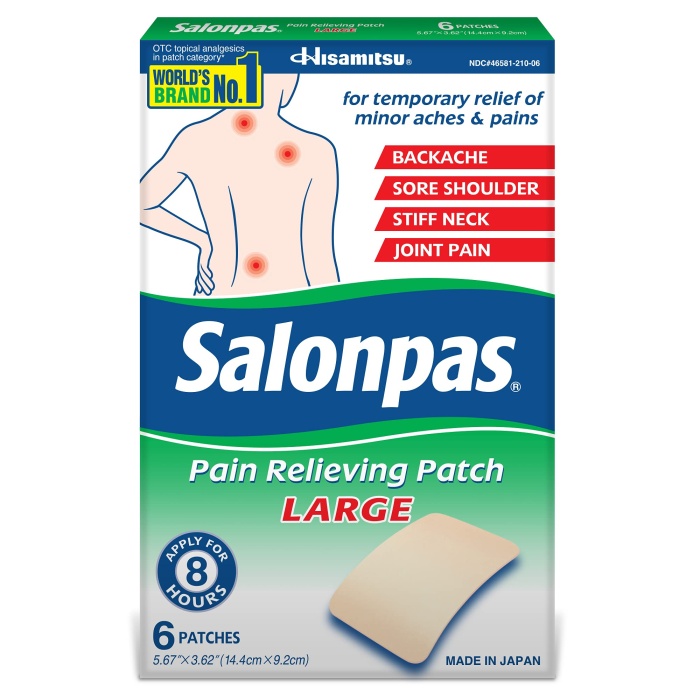 Salonpas Hısamıtsu Large 6 Adet Yakı