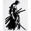 One Piece Roronoa Zoro P982438