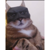 Yarasa kedi Batman kedi maskesi P_717887