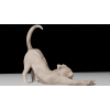 CAT: Stretch Cat P1139207