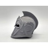 Trojan Helm P1168897