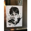 Harry Potter P1044344