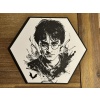 Harry Potter P1044344