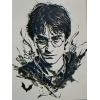 Harry Potter P1044344