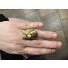 Dragon Ring P289424