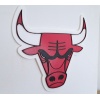 Bulls Logosu P770087