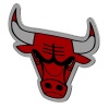 Bulls Logosu P770087