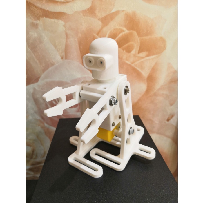 Basit yürüyen robot 3D855698