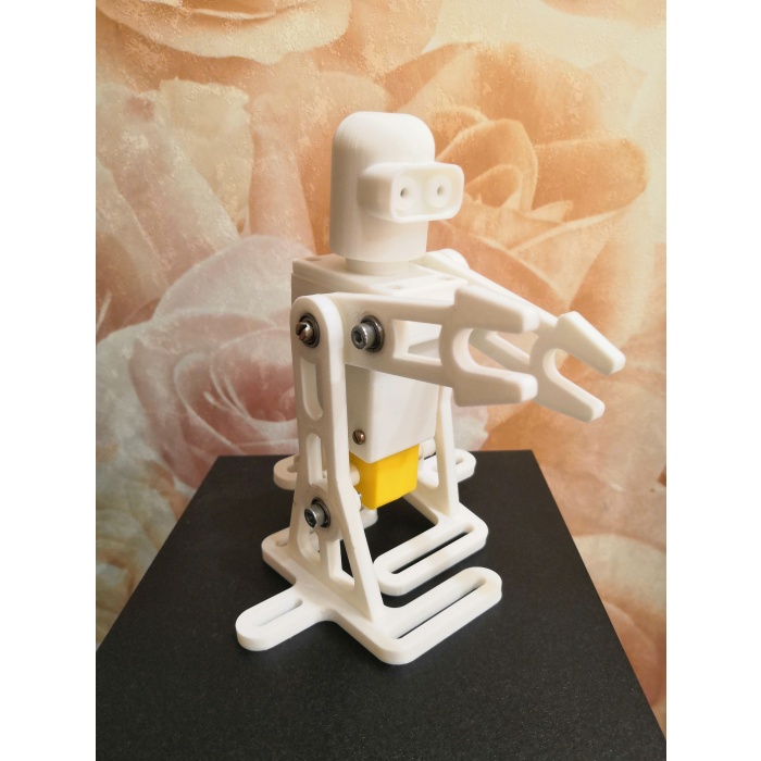 Basit yürüyen robot 3D855698