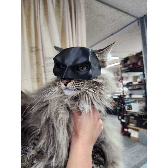 Yarasa kedi Batman kedi maskesi P_717887