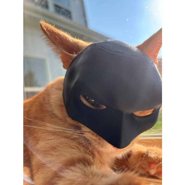 Yarasa kedi Batman kedi maskesi P_717887