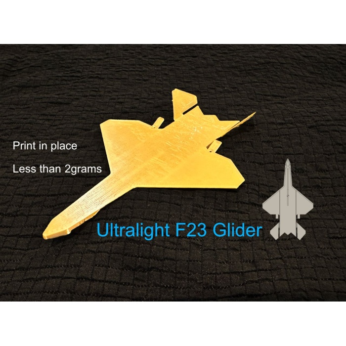 F23 ultralight planör Yerinde Baskı P456057