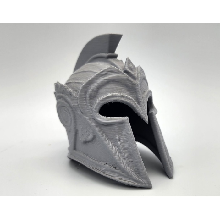 Trojan Helm P1168897