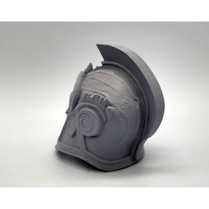 Trojan Helm P1168897