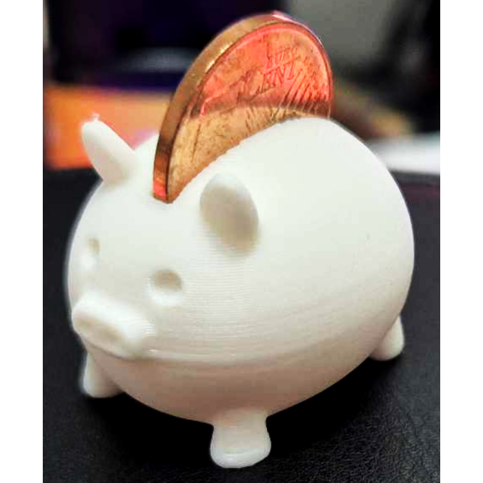 Mikro Piggy Bank P1129701