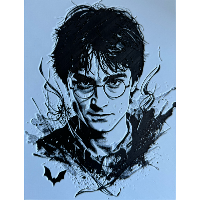 Harry Potter P1044344