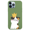 iPhone 13 Pro Lansman Kılıf - Kedi