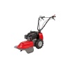 Pubert Junior V3 55P Çayır Biçme Makinesi RV225LO Motorlu