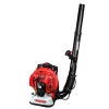 Cifarelli BL2200 Yaprak Üfleme Makinesi 5HP