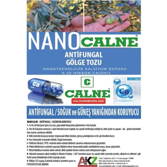 Nano Calne Antifungal Gölge Tozu 5Kg