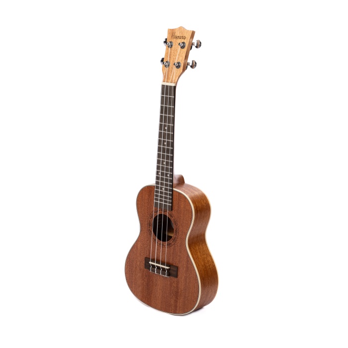 HAVANA HK-214 MAUN CONCERT UKULELE SET (KILIF-ASKI-METHOD-PENA HEDİYELİ)