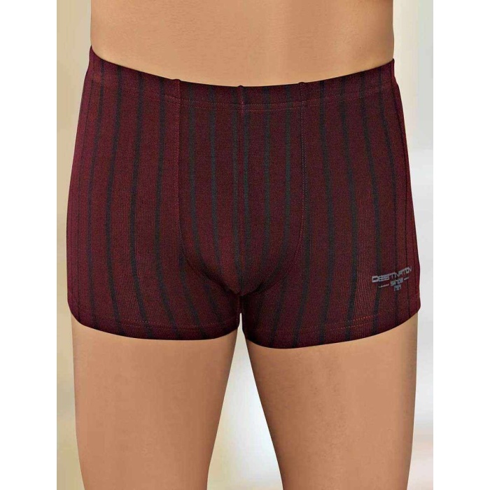 Şahinler Liralı Modal Çizgili Erkek Boxer Bordo ME123