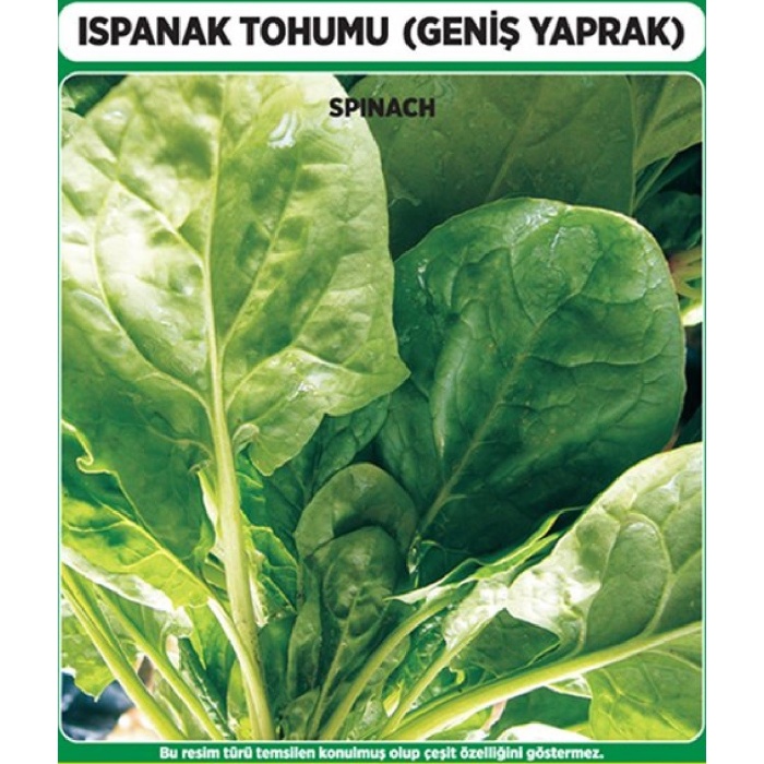 Matador Ispanak Tohumu 500 Gr.