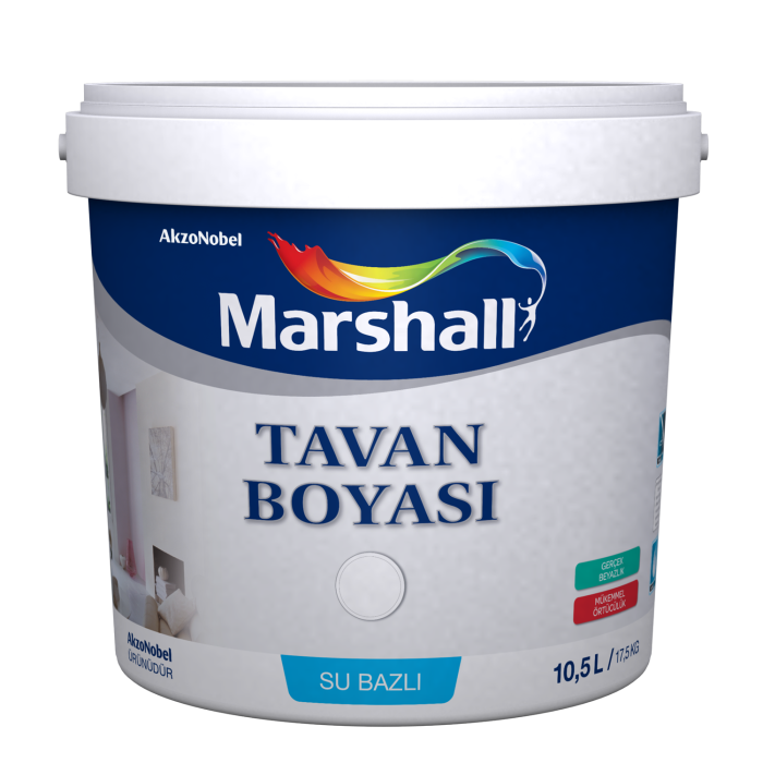 Marshall Tavan Boyası