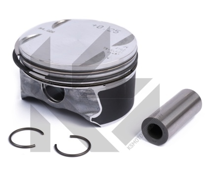 BMW E83 E85 E87 E90 E91 N46 Piston Segman 0.25 (Takım) 40085610