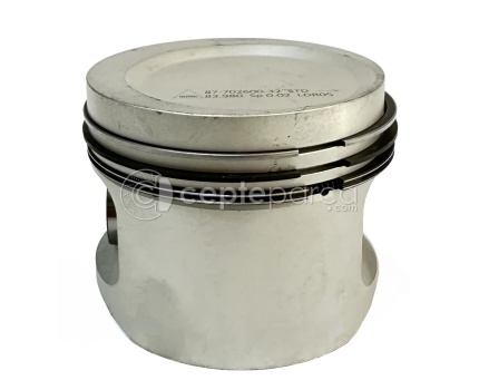 BMW E36 316i M40 Piston Segman Std (Takım) 8770216STD