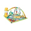 HJW08 Fisher Price 3ü1 Arada Yağmur Ormanı Jimnastik Merkezi