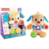 FPN79 Fisher-Price® Yaşa Göre Gelişim Eğitici Köpekçik / Türkçe / Eğlen ve Öğren