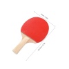 Ping Pong Masa Tenisi Seti Tenis Raketi Seti 2 Raket + 3 Ping Pong Topu  Spor Aksesuarları