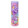 JCN93 Barbie Cutie Reveal  Care Bear Serisi