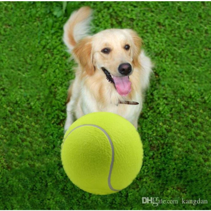 Tenis Topu Köpek Oyuncağı 3 Adet