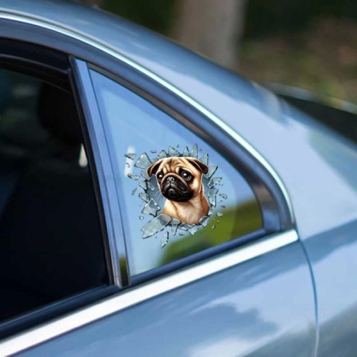 Pug Araç Stickerı