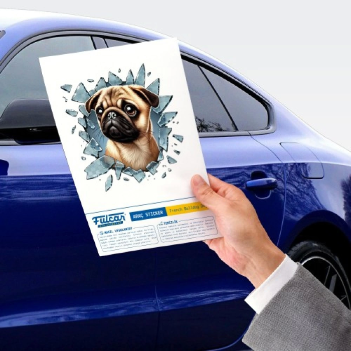 Pug Araç Stickerı