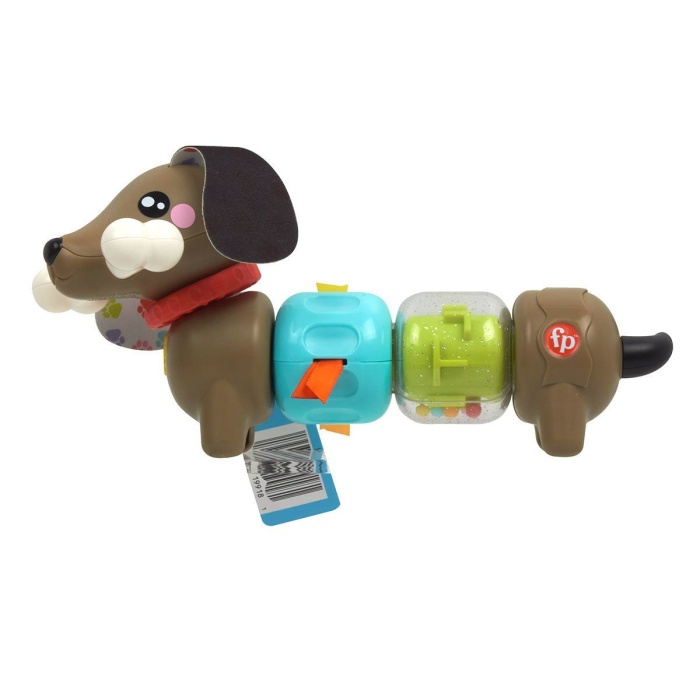 HTW91 Fisher-Price Köpekçikle Eğlenceli Aktiviteler