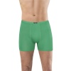 Anıt 1273 Bambu Boxer