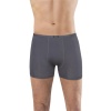 Anıt 1273 Bambu Boxer